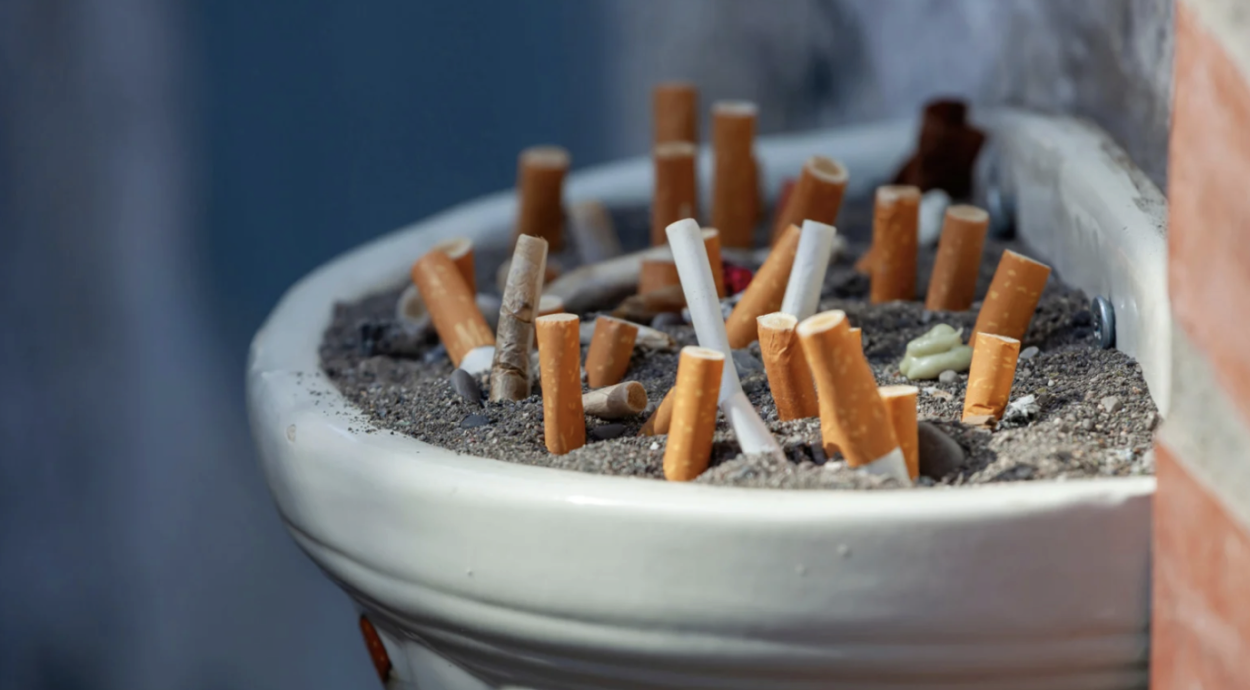 Screenshot 2026-02-20 at 2.12.45 PM